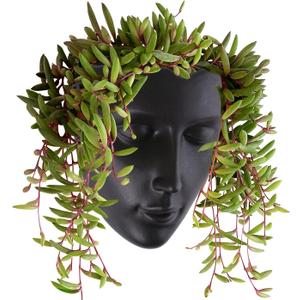 Notakia Face Planter Pot Wall Mounted Outdoor/Indoor Planter with Drainage for Succulents, Cactus, and Small Plants Unique Home Decor Gift for Friends and Family (Black)
