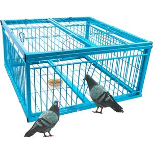 Humane Pigeon Trap Cage - Easy to Use & Effective for Roof, Garden, Yard and Outdoor Bird Control, Size 24"L x 24"W x 8"H