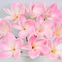 10pcs Light White Pink Flowers PU Real Touch Flowers Hawaiian Plumeria Tropical Artificial Flowers for DIY Floral Gifts Wedding Home Office Table Decor Farmhouse Table Centerpiece Decorations
