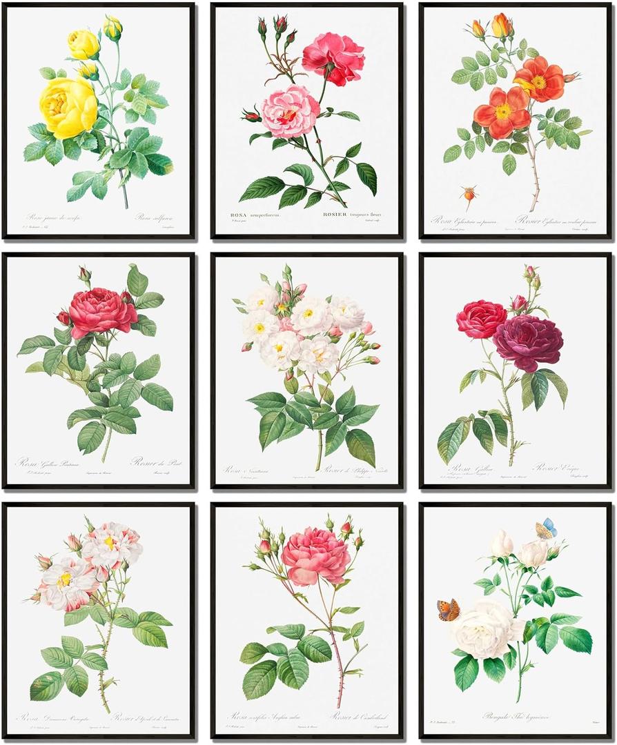 LANCHI95 Vintage Roses Botanical Prints - Flower Wall Art, Rose Collection, Roses for Wall Decoration (9pcs- 8x10in- UNFRAMED)