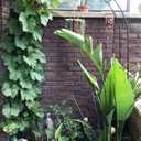 7.8 Ft Metal Garden Arbor Wedding Arch, 2 Sizes Free Combination for Various Climbing Plants, Birthday Party, Bridal Party Decoration (Green)