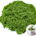 Fake Green Moss for Crafts 5.3 Oz Decorative Artificial Moss for Crafts Decorative Faux Moss Table Centerpieces Wedding Party Decor Fairy Garden Floral DIY