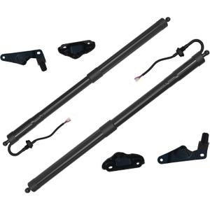Electric Liftgate Strut Compatible with 2014-2019 Toyota Highlander Driver and Passenger Side Power Tailgate Shock Support # 6891009130 6891009120 Pair
