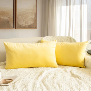 QUORGVES 12x20 Pillow Cover Inch Set of 2 Lumbar Pilow Covers Velvet Summer Throw Pillows for Living Room Couch Sofa Bed Bedroom Decor Decorative Spring Yellow