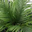 FLOWORLD Palm Tree Artificial Tropical Plant 5FT Tall Faux Plants Indoor Fake Floor Plants Decorative Palm Tree Large Office Plant Artificial Palm Trees for Home House Decor