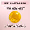 L'Oreal Paris Le Color One Step Toning Hair Gloss, Honey Blonde, 4 Ounce