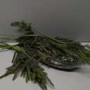 12 PCS 18 Inches Artificial Christmas Norfolk Pine Branch, Natural Touch Norfolk Faux Greenery Pine Stems, Fake Norfolk Picks Christmas Decoratoins for Vase DIY Garland Wreath Xmas Indoor Home Decor