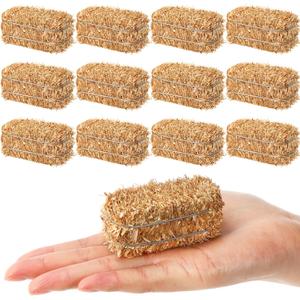 12 Pcs Mini Hay Bales Thanksgiving Fall Harvest Decorations Small Decorative Straw Bale for Christmas Nativity Scene, Dollhouse, Western Themed Party Decorations, 1.2 x 2.6 x 1.2 Inch