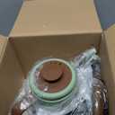 DmofwHi Gooseneck Electric Kettle(1.0L), 100% Stainless Steel BPA Free Classic Pour Over Coffee Kettle | Tea Kettle - Green