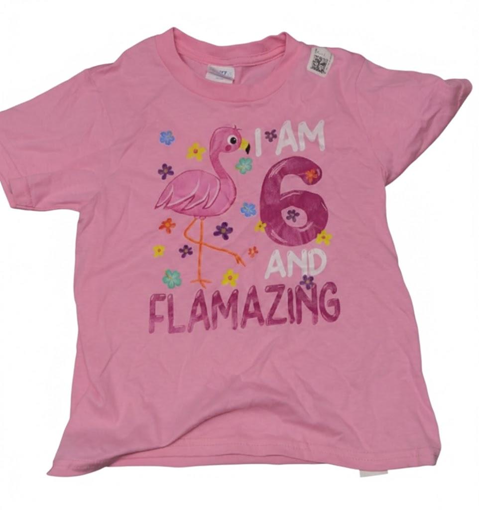 I Am 6 And Flamazing T-Shirt Amazing 6th Birthday Flamingo T-Shirt XS