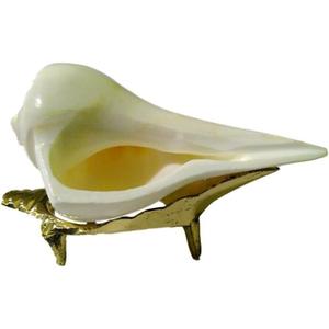 IS4A Dakshinavarti Shank 3.3 to 3.5 Inch with Brass Stand