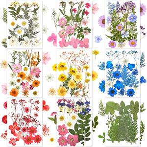 Nuanchu 167 Pcs Real Dried Pressed Flowers Natural Dried Flowers Colorful Daisy Mixed Wildflowers Leave for DIY Candle Resin Nails Jewelry Pendant Crafts Floral Art (Multicolor,Lovely Style)