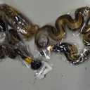 24 26 28 inch LadrXadr Ombre Brown Bundles Human Hair P427 Body Wave Bundles Honey Brown Bundle Human Hair 1BP427 Color