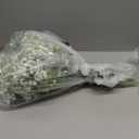 Babys Breath Artificial Flowers, 30 pcs White Flowers Artificial Real Touch Faux Flowers Bouquet Look Real Fake Flowers for Wedding Party Home Garden Tables Centerpieces Office Arrangements Decoration Baby Breath-white