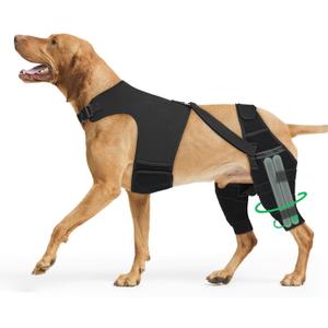Dog Knee Brace for Torn ACL Hind Leg - Orthopedic Rear Leg Wrap with 2 Metal Stabilizers and Vest for Support, for Small Medium Large Dogs, for Arthritis, Luxating Patella, and Joint Injury Recovery