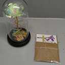 Childom Mothers Day Flowers Gifts for Mom from Daughter Son,Birthday Gifts for Women,Mom Presents for Her,Colorful Rainbow Light Up Rose in A Glass Dome Grandma Presents for Her Wife Girls Valentines