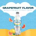 Fresca Citrus Soda Soft Drink, 16.9 fl oz Bottles, 6 Pack