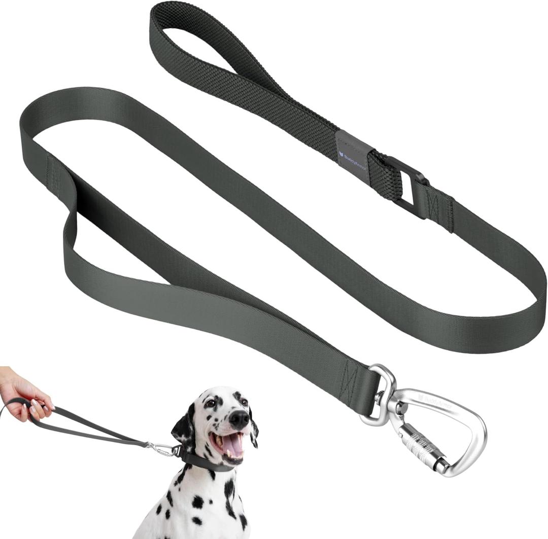 Nylon Dog Leash Heavy Duty But Lightweight w/Elastic and Emergency Two Handles, Easy to Hook, Dog Training Leash Walking Lead for Large Dogs (Space Gray, L)