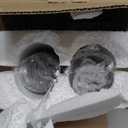 Fcacti 3 Inches Small Black Terracotta Pots with Saucer, 12 Pack 3" Terra Cotta Planter with Drainage Holes, Small Clay Flower Pots for Plants, Succulents, Crafts, Wedding Favor