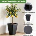 RooTrimmer 4 Pack 12 Inch High-Waisted Square Outdoor Planters No Saucers