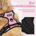 rabbitgoo Dog Harness No Pull with 2 Leash Clips, Adjustable Soft Padded, Reflective Oxford No Choke Pet Vest with Easy Control Handle for Dogs, Pink, Small