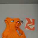 Rabbitgoo Small Dog Harness, Step-in Soft Mesh Puppy Vest with Safety Buckle, Breathable Reflective Pet Harness for Small Medium Dogs, Orange L (L(Chest:18.2"-20.5"))