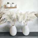 30 Stems 28" inch Large White Pampas Grass Fluffy, Boho Home Decor, Natural Fluffy Pompas Grass Pampas for Living Room Decor, Table Decor, Boho Decor Floor, Party Wedding Decor