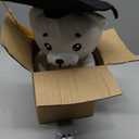 YUNVI 12 inch 2026 Graduation Autograph Stuffed Bear,Congrats Grad Graduation Plush Animal Toy Congratulations Graduation Gift for Graduate Party