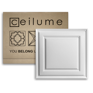 Drop Ceiling Tile; 2x2 Ceiling Tiles - Stratford Ultra-Thin Feather-Light - Use in 1" T-Bar Suspended Grid - (White)