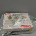 Motel Mouse Humane No Kill Live Catch and Release Mouse Traps, Reusable with Cleaning Brush - 4 Pack