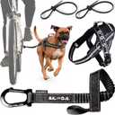 BIKE AND DOG - Dog Leash and Harness for Bicycle, Harness with 3 Rings, 2 are Sides, Includes 2 Special Cable Ties for Bicycle (Black, Leash & Harness M)