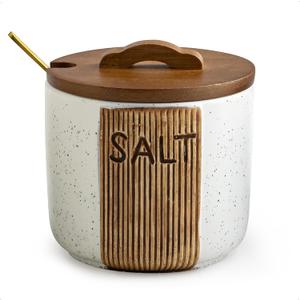 Salt Container for Countertop, Ceramic Salt Cellar with Lid and Spoons, 10 OZ Salt Bowl Holder, White (Set of 1)