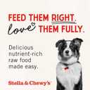 Stella & Chewy's Freeze-Dried Raw Beef Heart Dog Treats - Single Ingredient, No Additives - Premium Training Treats - Perfect For Picky Eaters - 3oz Bag (EXP 02/15/26)