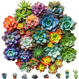 Mys Aurora Succulent Wooden Puzzles for Adults, 500 Piece Unique Shaped Wood Jigsaw Puzzles for Adults and Kids, Fun Challenging Puzzles Family Game Gift, Medium 16.9'' x 16.5''