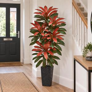 Artificial Red Dracaena Tree 6FT - Fake Tree with Black Tall Planter