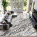 Area Rugs for Living Room: 9X12 Abstract Washable Rug Modern Neutral Large Soft Stain Resistant Non-Slip for Bedroom Dining Room Indoor Home Office Carpet - Taupe