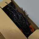 9FT 72 LED Halloween Garland with Lights Lighted Black Willow Vine Decorations with 12 Pumpkin & 12 Bat Light, 8 Modes Battery Operated Halloween Lights Indoor Spooky Decor for Fireplace Mantel Wall