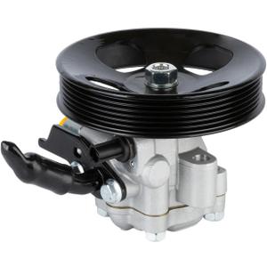 PODAFU 21-5479 Power Steering Pump with Pulley Compatible with Hyundai Santa Fe 2007-2009 V6 2.7L Replaces 965479 21-5479 215479 571002B300