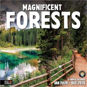 RED EMBER Magnificent Forests 2026 Wall Calendar 12 Month | 12" x 24" Open | Thick & Sturdy Paper | Holiday Gift | Nature Calendar 2026
