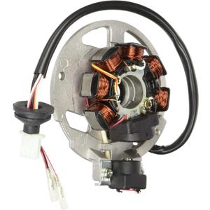 DB Electrical 340-22012 Stator Coil For Polaris 90 Predator 03 04 05 06 2003 2004 2005 2006, Scrambler 01 02 03 2001 2002 2003, Sportsman 01 02 03 04 05 06 2001 2002 2003 2004 2005 2006