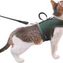 Cat Harness and Leash for Walking Escape Proof Breathable Mesh Fabric, Solid Green, Medium, Adjustable Cat Walking Jackets with Handle, Padded Stylish Cat Vest (M 5.5-9LBS)