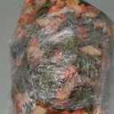 HyeFlora Artificial Fake Fall Hanging Flowers for Outdoor Decor, 2PCS Faux Silk Morning Glory Hanging Plants Mums Vine for Home Garden Wall Party Indoor Outside Decoration (Fall Orange+Light Orange)