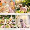 SEIS Flower Lace Dog Dress, Cat Skirt for Birthday Party Wedding, Pink, S