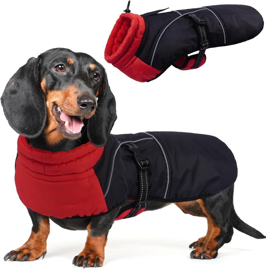 DORA BRIDAL Dachshund Coat, Fleece Lined Dog Winter Coat, Warm Dog Coats with Reflective Strips, Adjustable Waterproof Pet Jacket Clothes, S (S(back:13.78"), Red)
