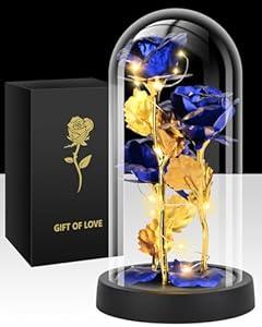 Tayfeim Valentines Day Gifts for Her, Glass Rose Flower Birthday Gifts for Women Mom Wife Girlfriend, Light Up Rose in A Glass Dome, Rose Gifts for Valentine's Day, Mothers Day, Womens Day (Blue)