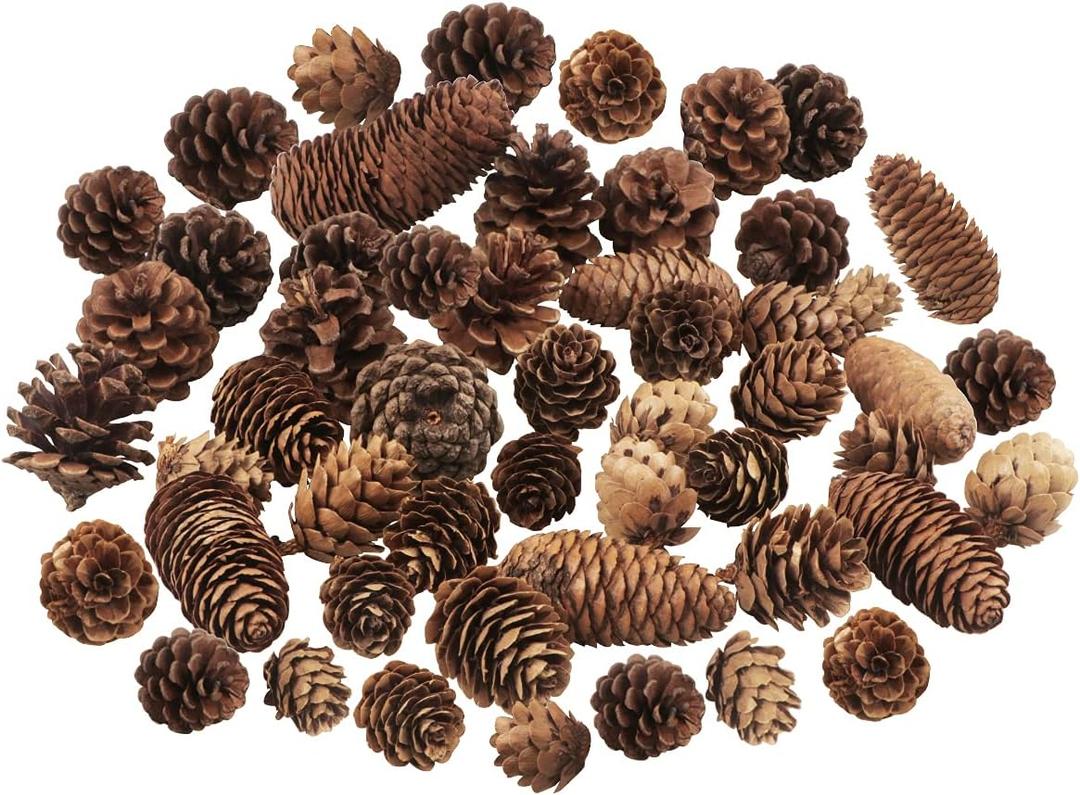 40 PCS Rustic Pine Cone Decorations - Large, Medium and Mini Sizes for Table, Tree and Home Decor