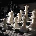 Polymaker Matte PLA Filament Cotton White 1.75mm 1kg 3D Printing Filament, PolyTerra 3D Printer PLA Filament