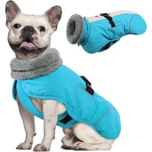 Queenmore Winter Dog Jackets, Dog Coats for Small Puppy, Warm Reflective Winter Dogs Coat, Waterproof Fall Pet Coats, Blue, S