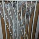 53in Extra Tall Cat Gate for Doorway, 29.5-40.6in Auto Close Pet Gate-White, 53" Tall, 29.5-40.6" Wide