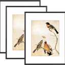 11x14 Picture Frame Set of 3, Black Metal Photo Frames with HD Glass, Fits 8x10 with Mat or 11 x 14 without Mat, for Horizontal and vertical Wall Display